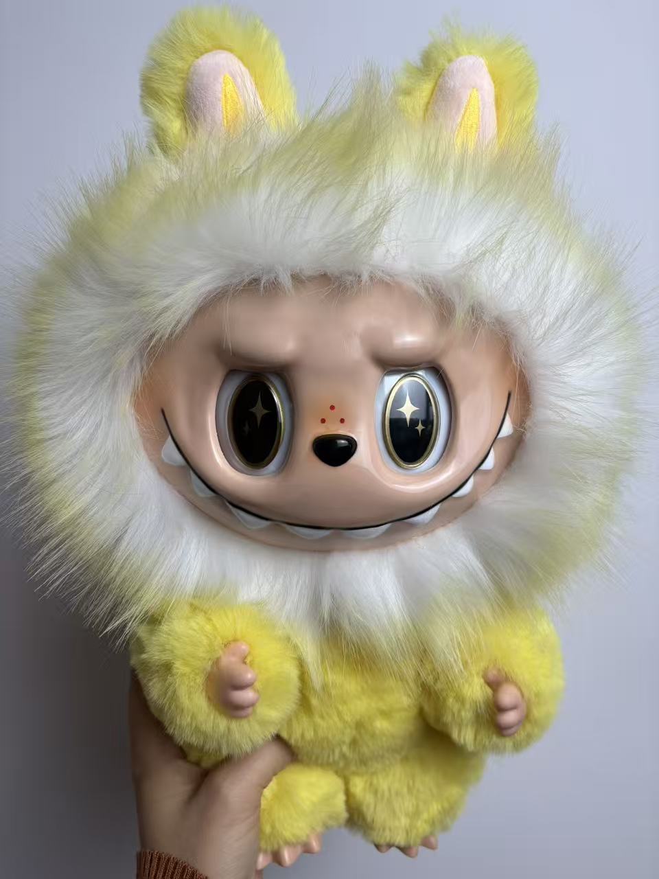 NEW lion design