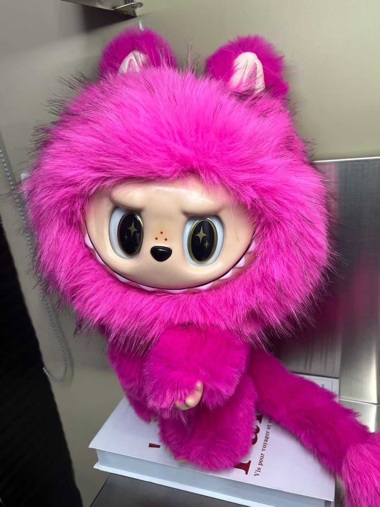 NEW lion design