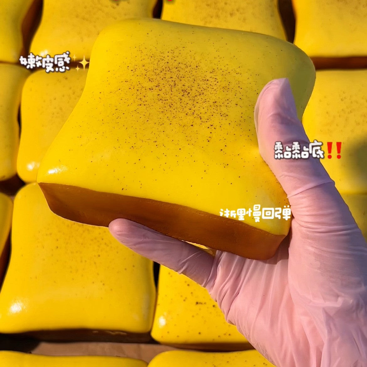Cute Toast Squishy toy