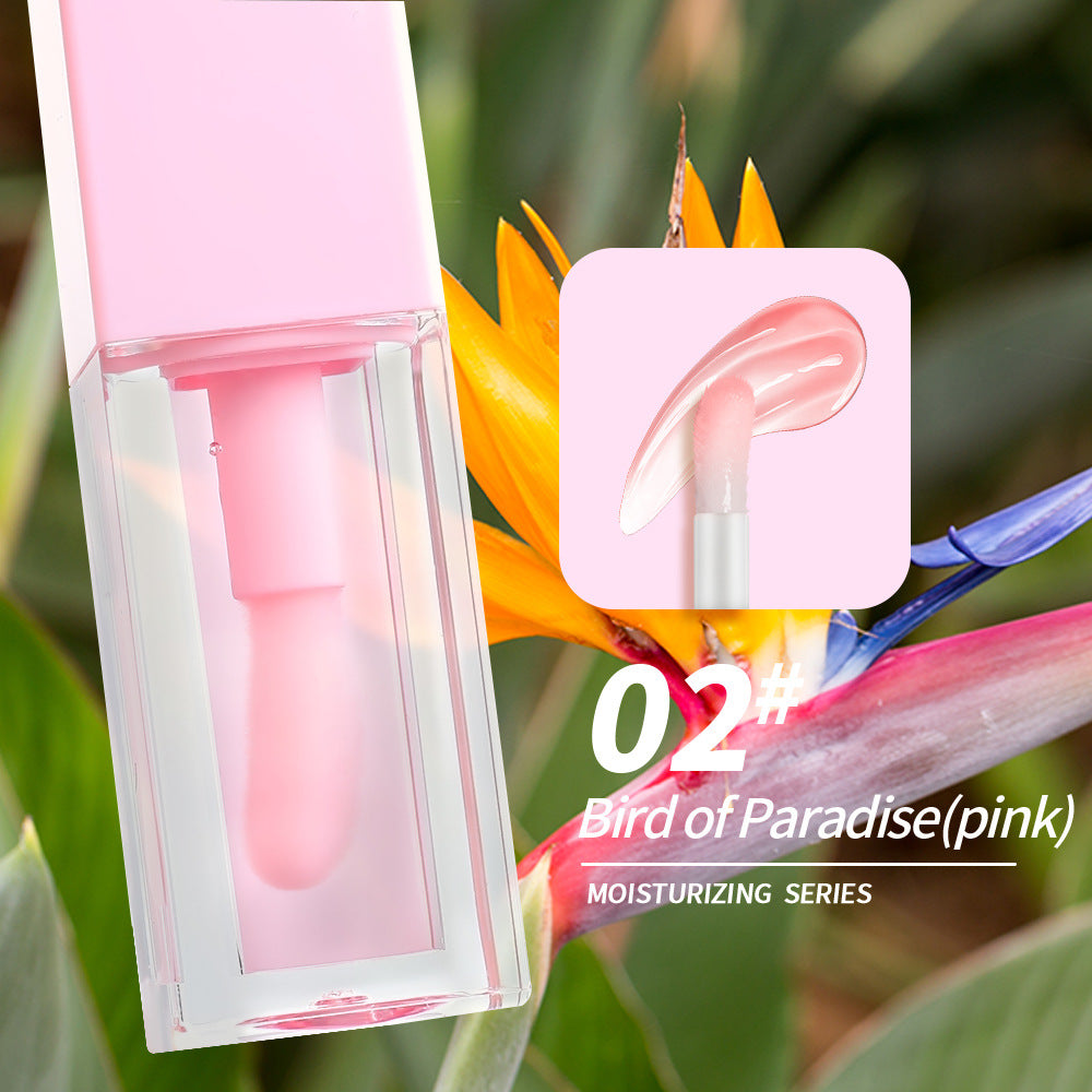 NO LOGO Hot sale lip oil