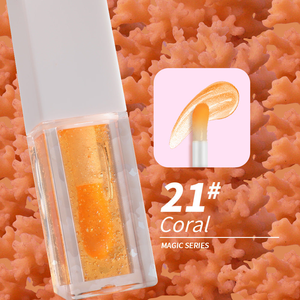 NO LOGO Hot sale lip oil