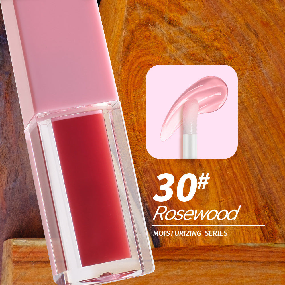 NO LOGO Hot sale lip oil
